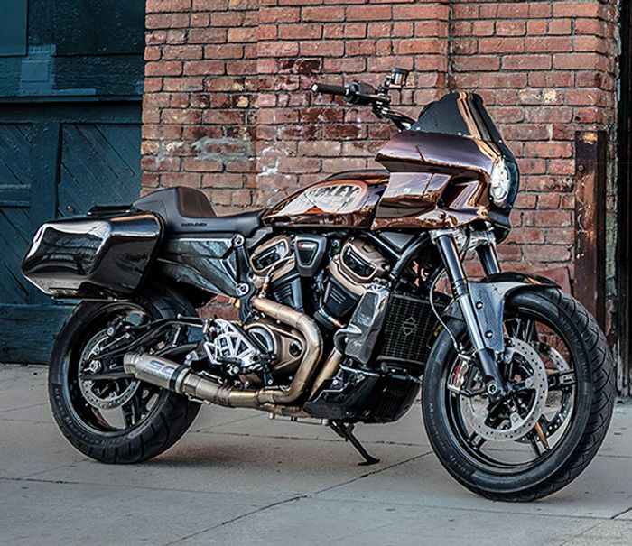 Custom 2025 Sportster S